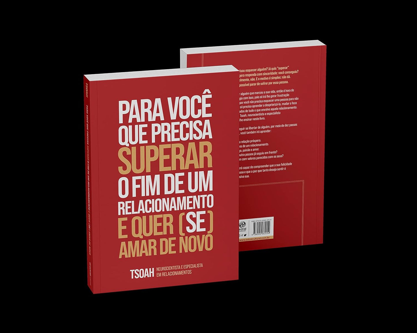 Para Você Que Precisa Superar o Fim de um Relacionamento e Quer (se) Amar de Novo