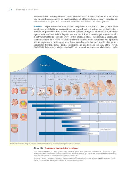 A Criança em Desenvolvimento