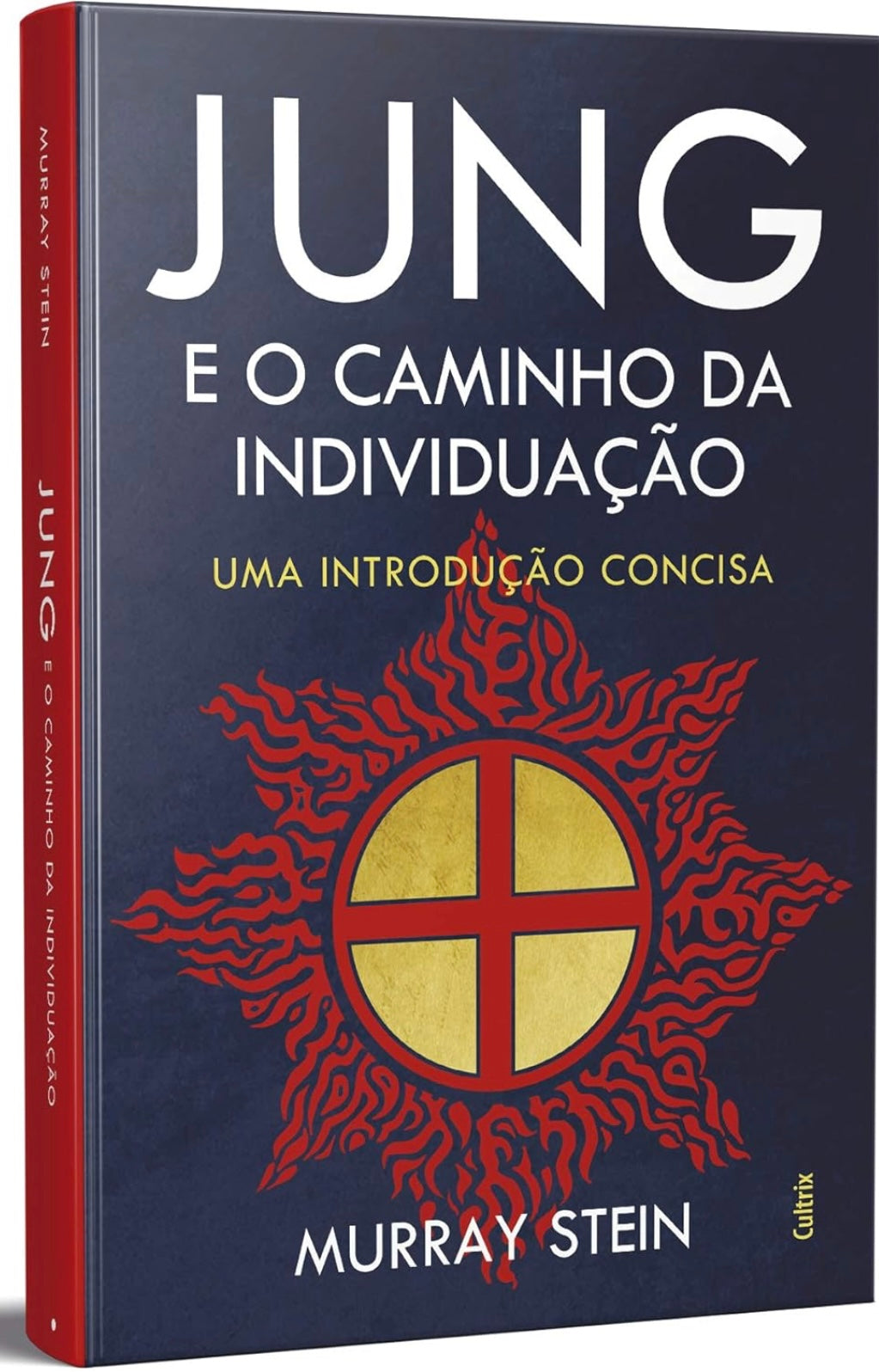 Jung e o Caminho da Individuação